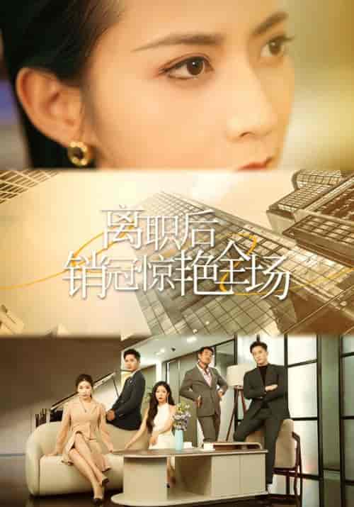 离职后销冠惊艳全场（30集全）沈听寒＆季安安-紫橙资源网