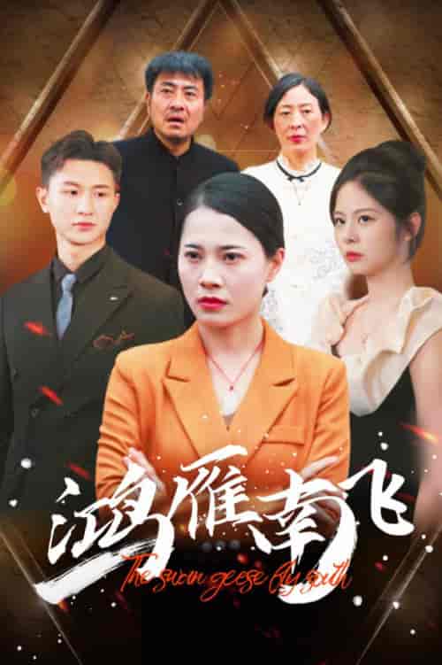鸿雁南飞（64集） - 紫橙短剧