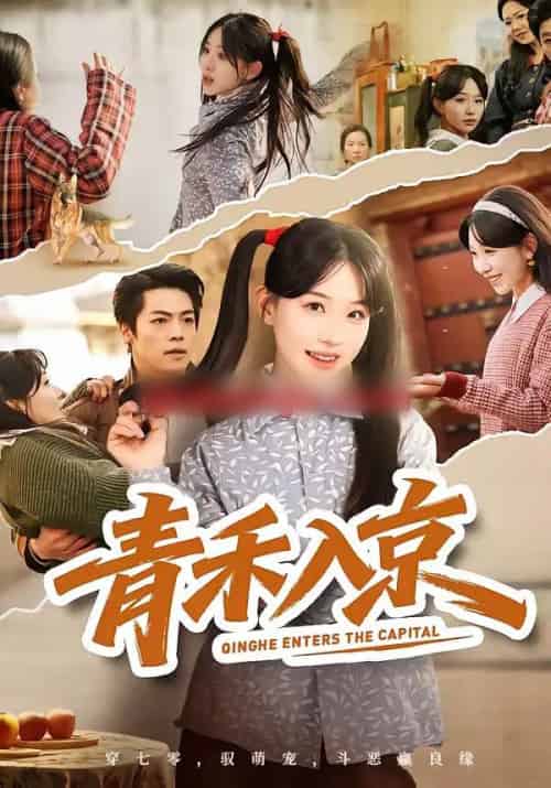 青禾入京（60集全）于忻＆仇赫-紫橙资源网