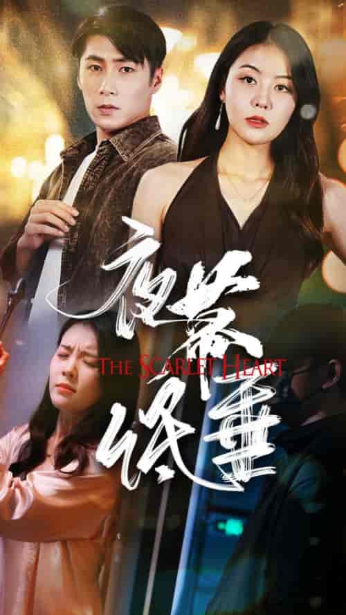 夜幕低垂（37集全）-紫橙资源网