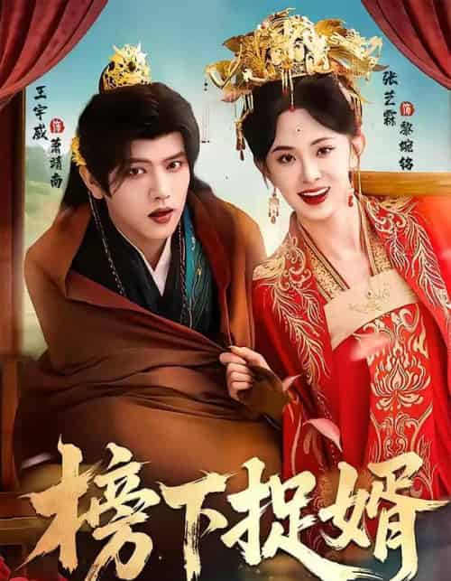 榜下捉婿（82集全）王宇威＆张艺霖-紫橙资源网