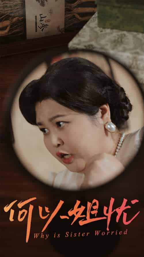 何以姐忧（50集）-紫橙资源网