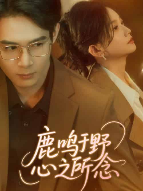 鹿鸣于野心之所念（52集）张纶贞-紫橙资源网