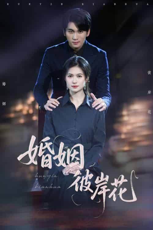 婚姻彼岸花（63集）伍月＆李思杨-紫橙资源网