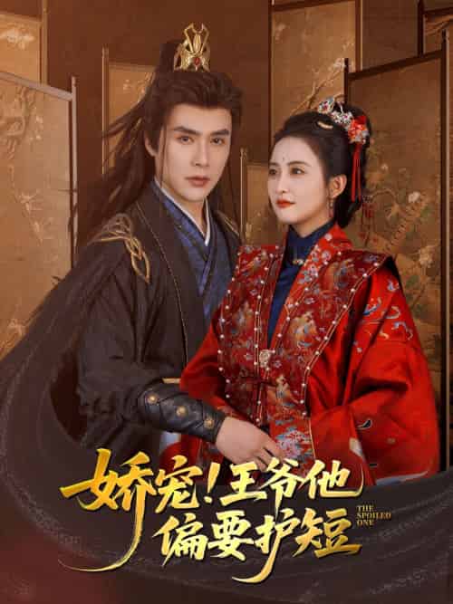 娇宠!王爷他偏要护短（80集）何索＆雷笑语-紫橙资源网