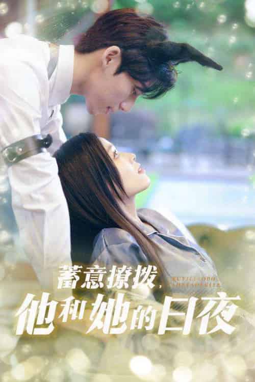 蓄意撩拨他和她的日夜 蓄意撩拨他和她的日夜
