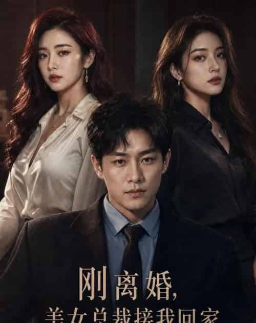 刚离婚，美女总裁接我回家（40集全）AI-紫橙资源网