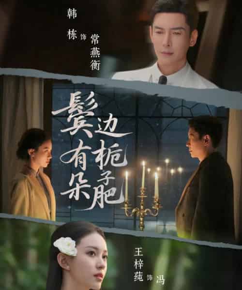 鬓边有朵栀子肥(72集全)韩栋&王梓莼-紫橙资源网