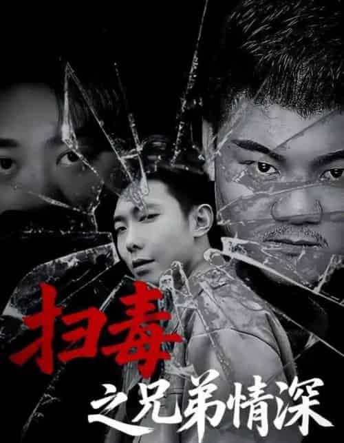 扫毒之兄弟情深（50集）-紫橙资源网