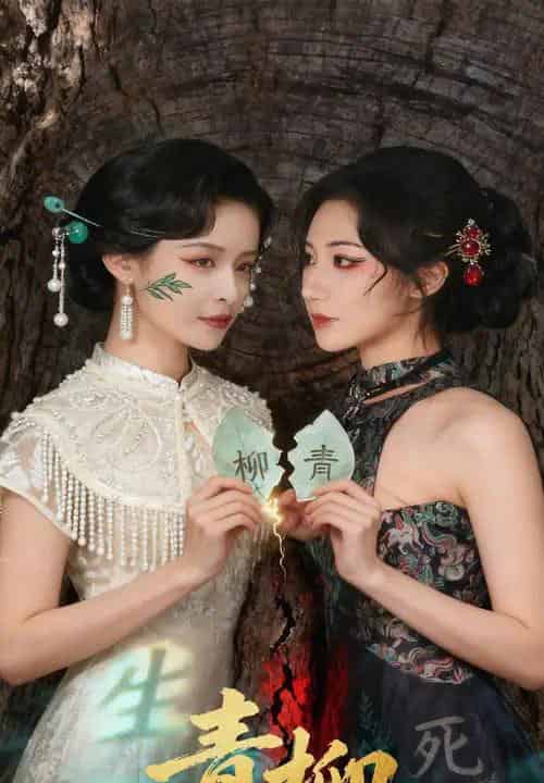 青柳（79集全）沈国洋＆王思瑾-紫橙资源网