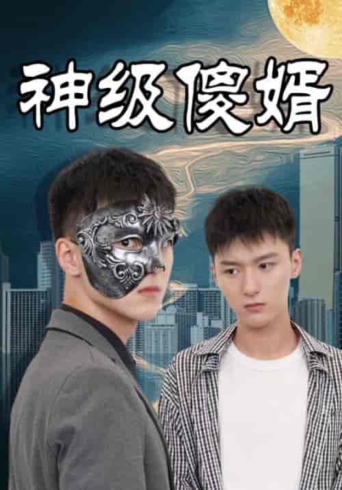 神级傻婿(85集全)叶一凡&贺双双-紫橙资源网