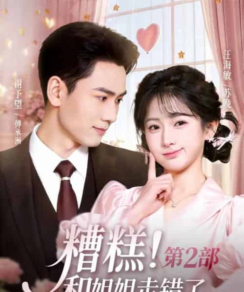 糟糕！和姐姐走错了第2部（80集全）谢予望＆汪海敏-紫橙资源网