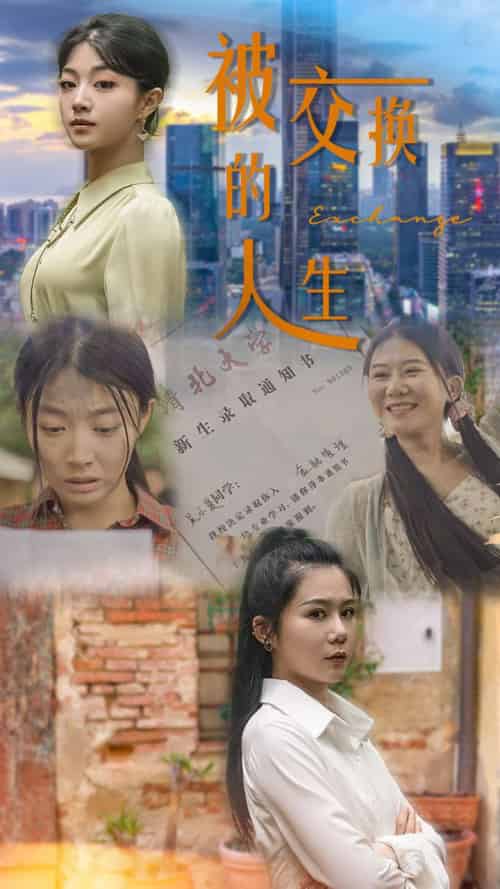 被交换的人生（37集）-紫橙资源网
