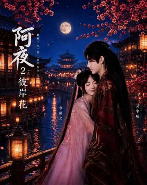 阿夜:彼岸花(60集全)吴宇航&章龄之-紫橙资源网