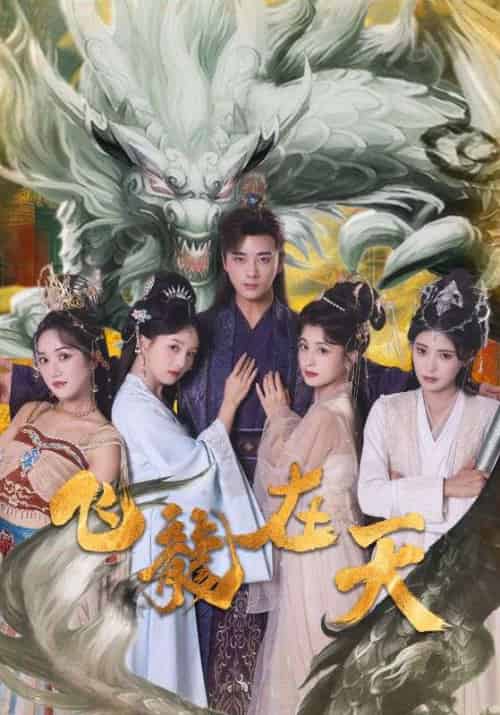 飞龙在天(133集全)李龙鳞&苏凤翎-紫橙资源网