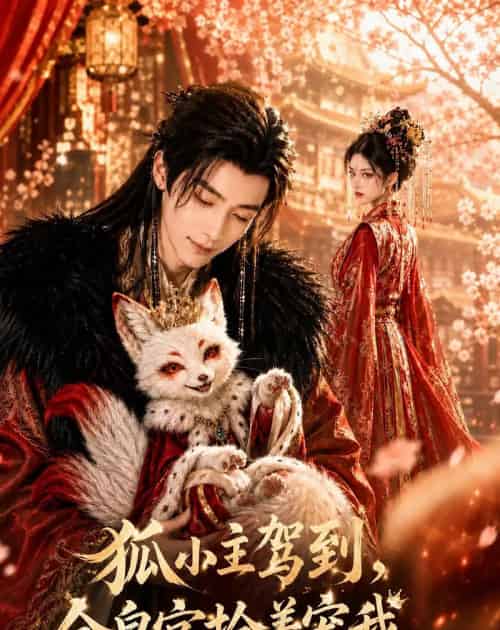 狐小主驾到，全皇宫抢着宠我（67集全）AI-紫橙资源网