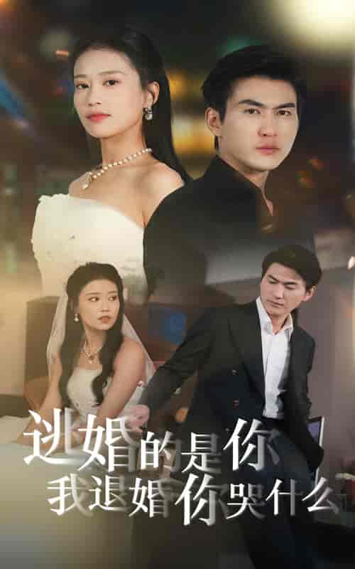 逃婚的是你我退婚你哭什么（71集全）-紫橙资源网