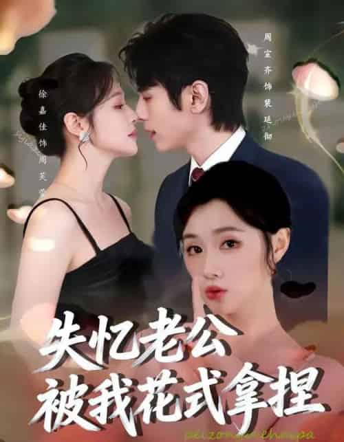 失忆老公被我花式拿捏(86集全)周宣齐&徐嘉佳-紫橙资源网