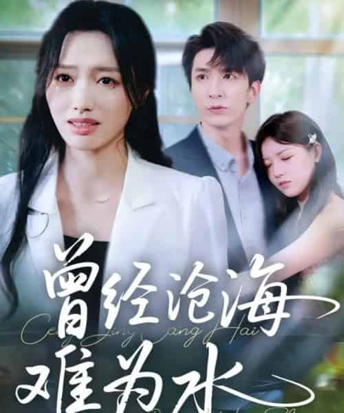 曾经沧海难为水（60集全）韩旭＆王梦佳-紫橙资源网