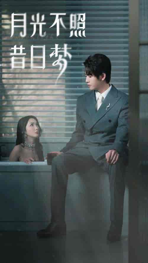 月光不照昔日梦(79集)-紫橙资源网