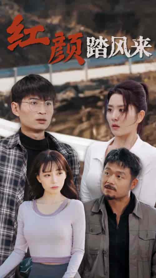 新红颜踏风来（30集全）-紫橙资源网