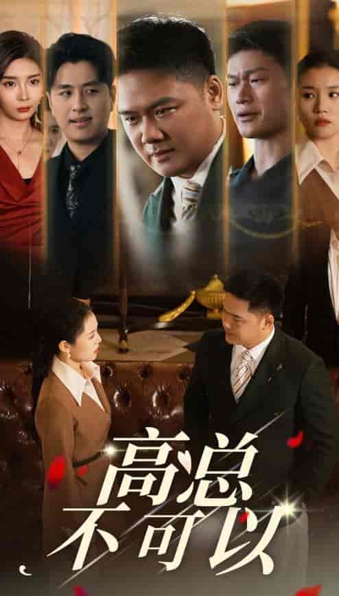 高总不可以（45集全）-紫橙资源网