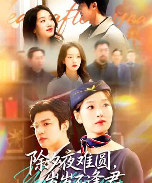 除夕夜难圆,岁岁不逢君(79集全)麦童&李星霖-紫橙资源网