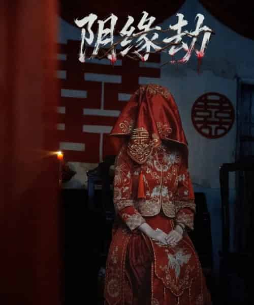 阴缘劫(25集全)钟展宏&罗歆桐-紫橙资源网
