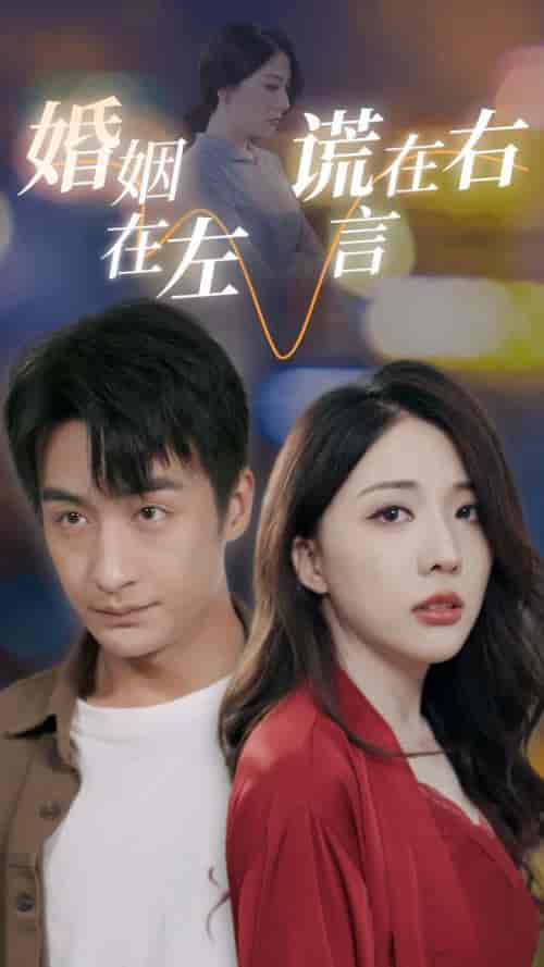 婚姻在左谎言在右（79集）-紫橙资源网