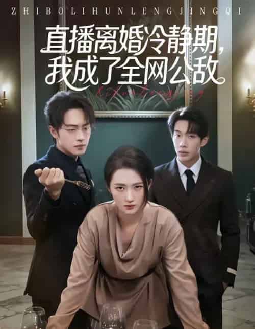 直播离婚冷静期，我成了全网公敌（70集全）于斯年＆江潼-紫橙资源网