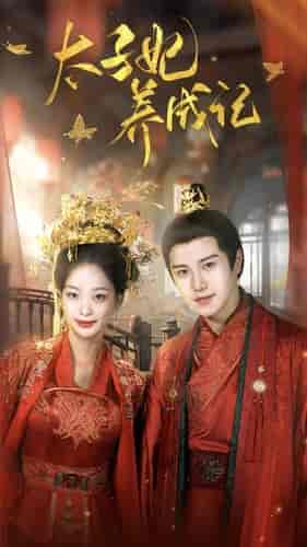 太子妃养成记（97集）-紫橙资源网
