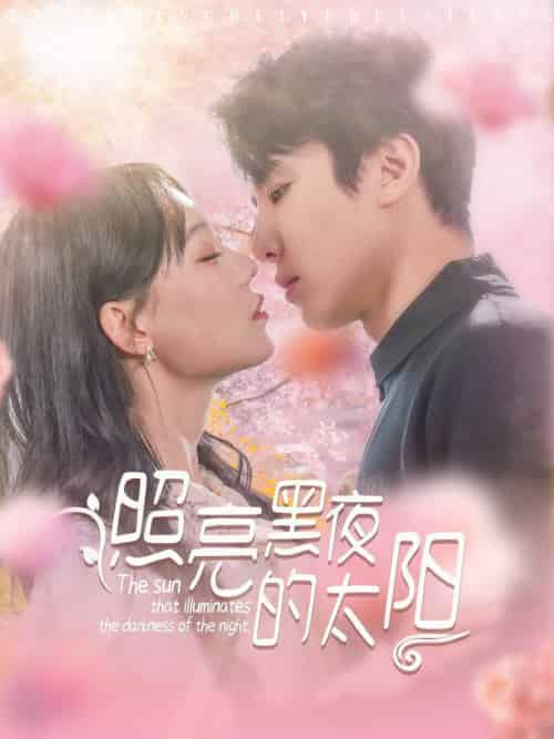 照亮黑夜的太阳（80集全）刘一隆＆张贻乔-紫橙资源网