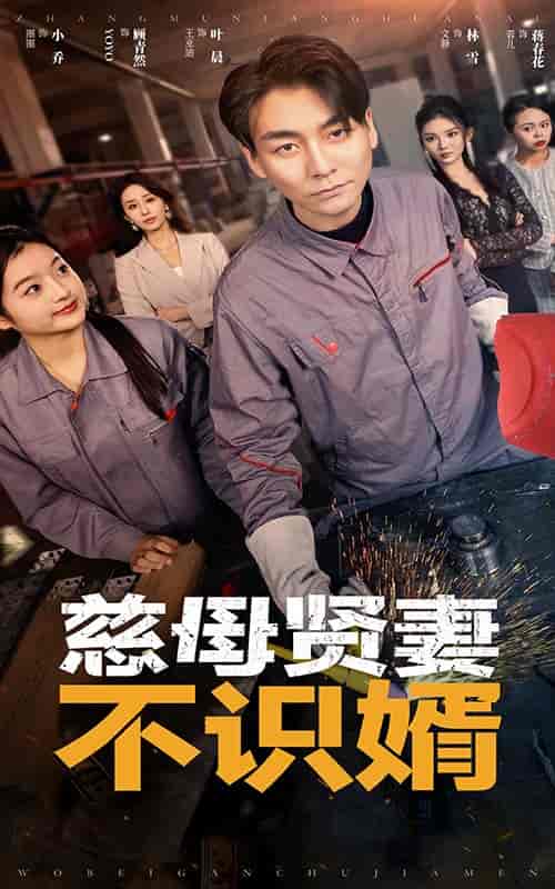 慈母贤妻不识婿(45集全)-紫橙资源网