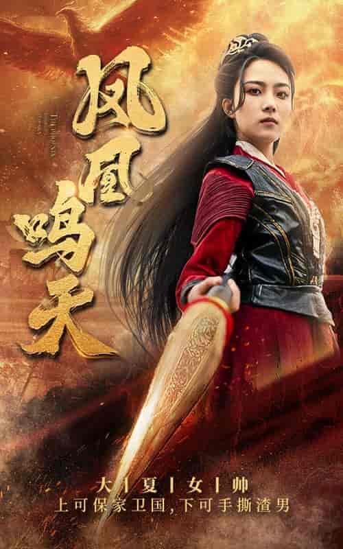 凤凰鸣天（65集）-紫橙资源网