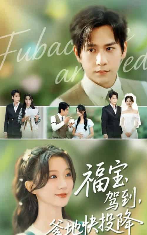 福宝驾到，爹地快投降（100集全）张添景＆蒲雨童 - 紫橙短剧