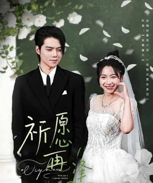 祈愿再逢（80集） - 紫橙短剧