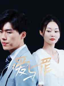 爱与罪（63集全）-紫橙资源网