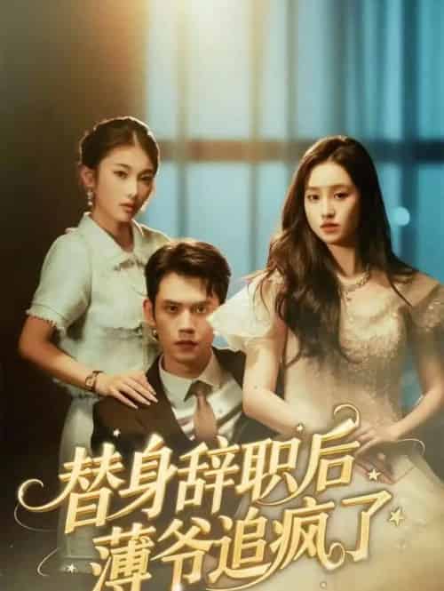 替身辞职后薄爷追疯了(60集全)徐浩楠&姚熠璠-紫橙资源网