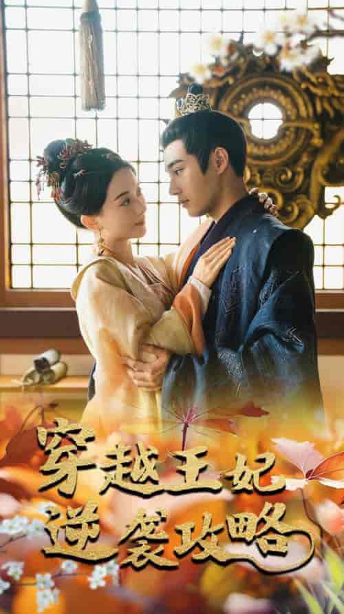 穿越王妃逆袭攻略（76集）-紫橙资源网