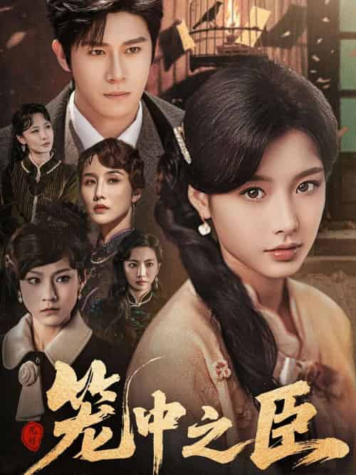 笼中之臣（67集）杨宇斌＆谭雯文-紫橙资源网