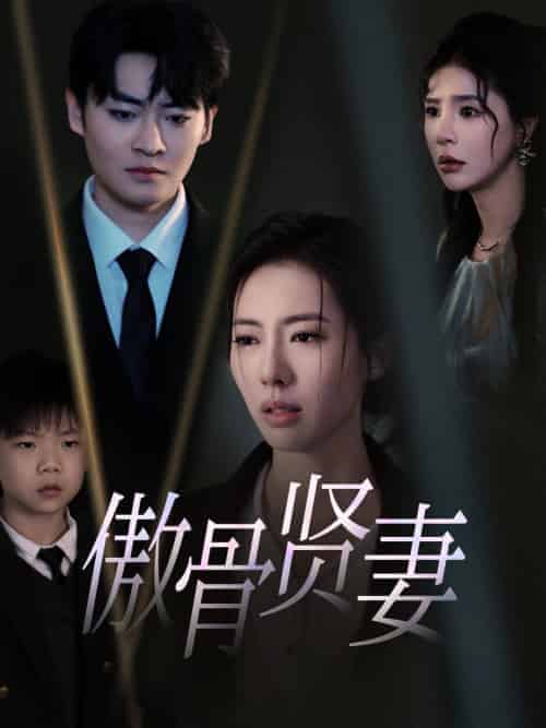 傲骨贤妻（52集全）-紫橙资源网