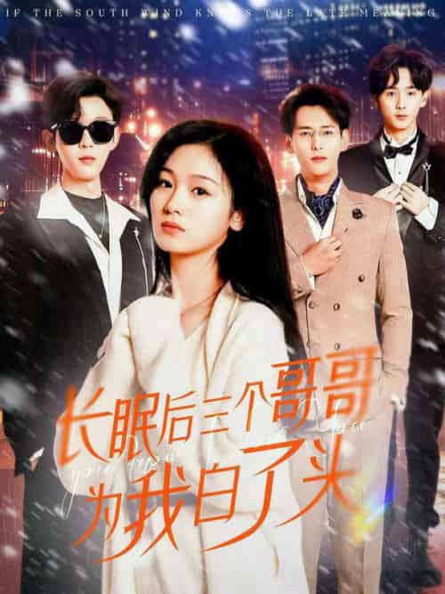 长眠后三个哥哥为我白了头（33集全）田苗苗-紫橙资源网