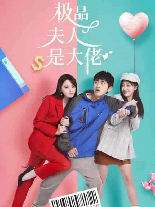 极品夫人是大佬(50集)-紫橙资源网