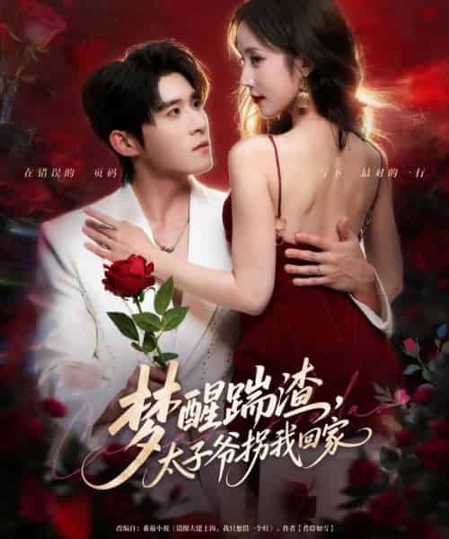 梦醒踹渣，太子爷拐我回家（80集全）黄云云＆杨宇斌-紫橙资源网