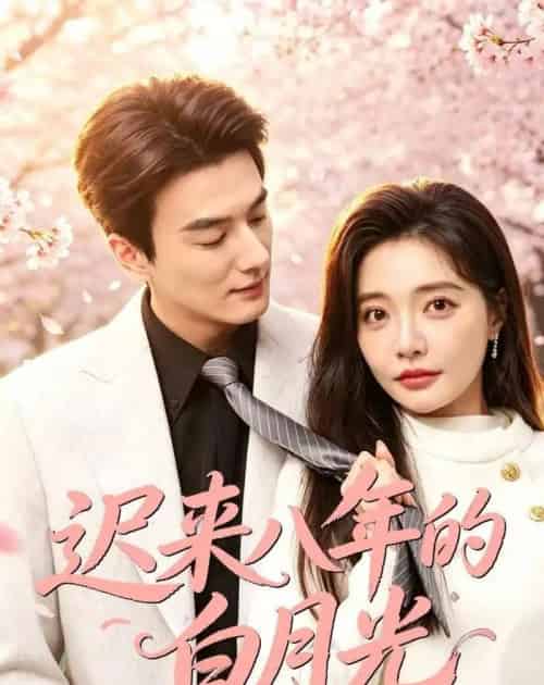 迟来八年的白月光（60集全）张策＆李欣怡-紫橙资源网
