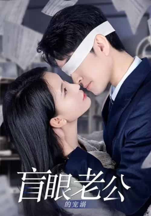 盲眼老公的宠溺（87集全）顾成钰＆蓝雪-紫橙资源网