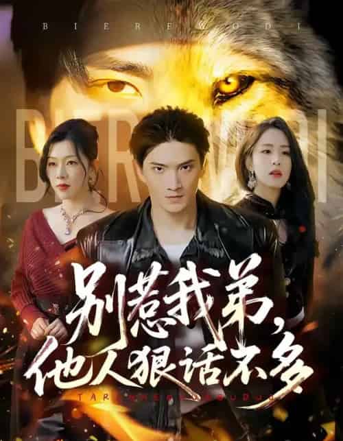 别惹我弟,他人狠话不多(40集全)龚政瑞&李秋奕-紫橙资源网