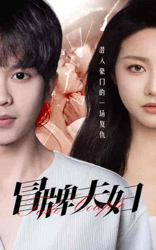 冒牌夫妇（73集）-紫橙资源网