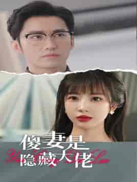 傻妻是隐藏大佬（63集）王道铁彭呆呆-紫橙资源网