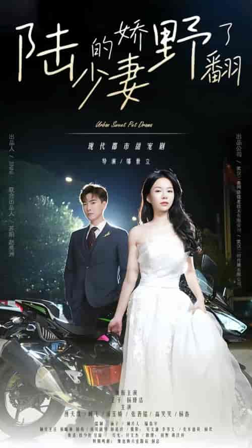 陆少的娇妻野翻了（103集）-紫橙资源网